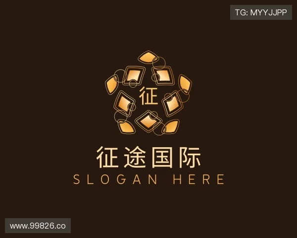 关于征途国际
